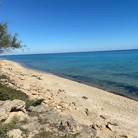 Sine Tempore * Маруджо